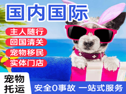 海北祁连空运代理国际宠物托运 【国